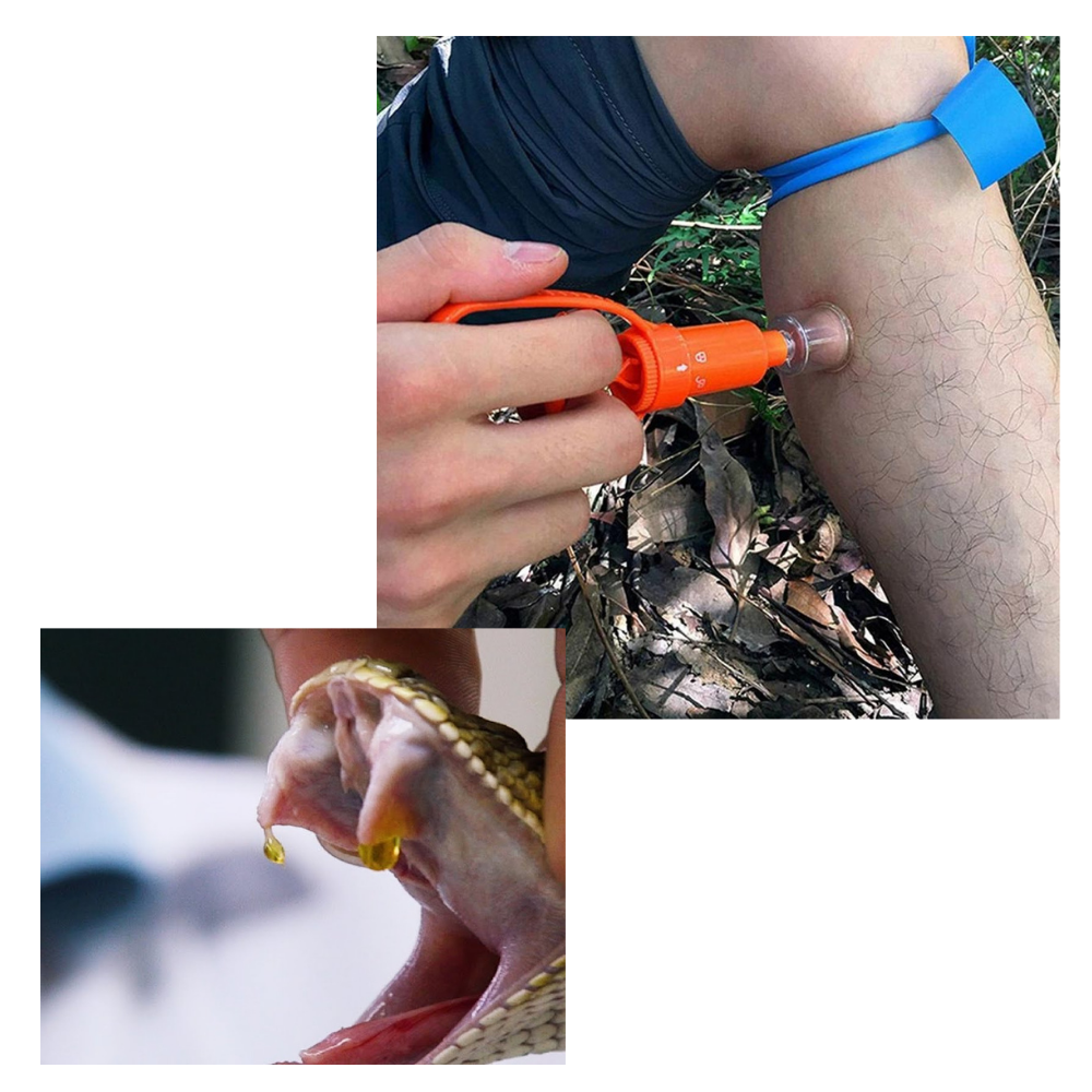 Kit d'extraction d'urgence de venin