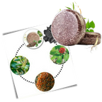 Savon capillaire noircissant et hydratant