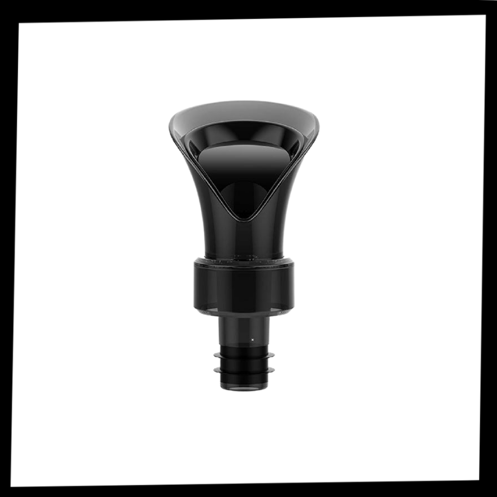 Décanteur de vin 2-en-1 avec bouchon