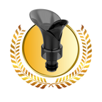 Décanteur de vin 2-en-1 avec bouchon