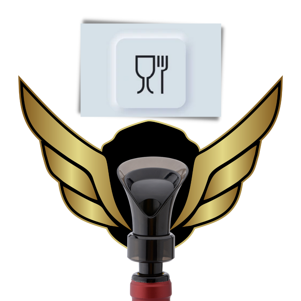 Décanteur de vin 2-en-1 avec bouchon