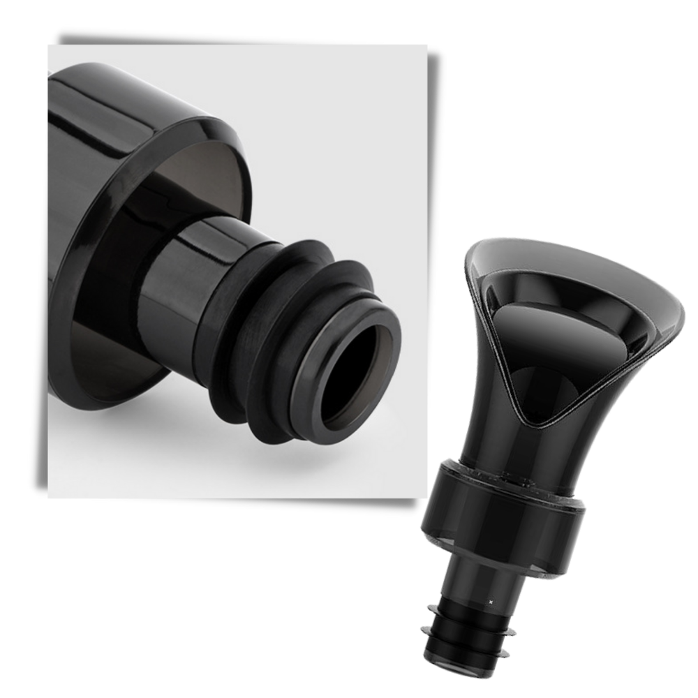 Décanteur de vin 2-en-1 avec bouchon