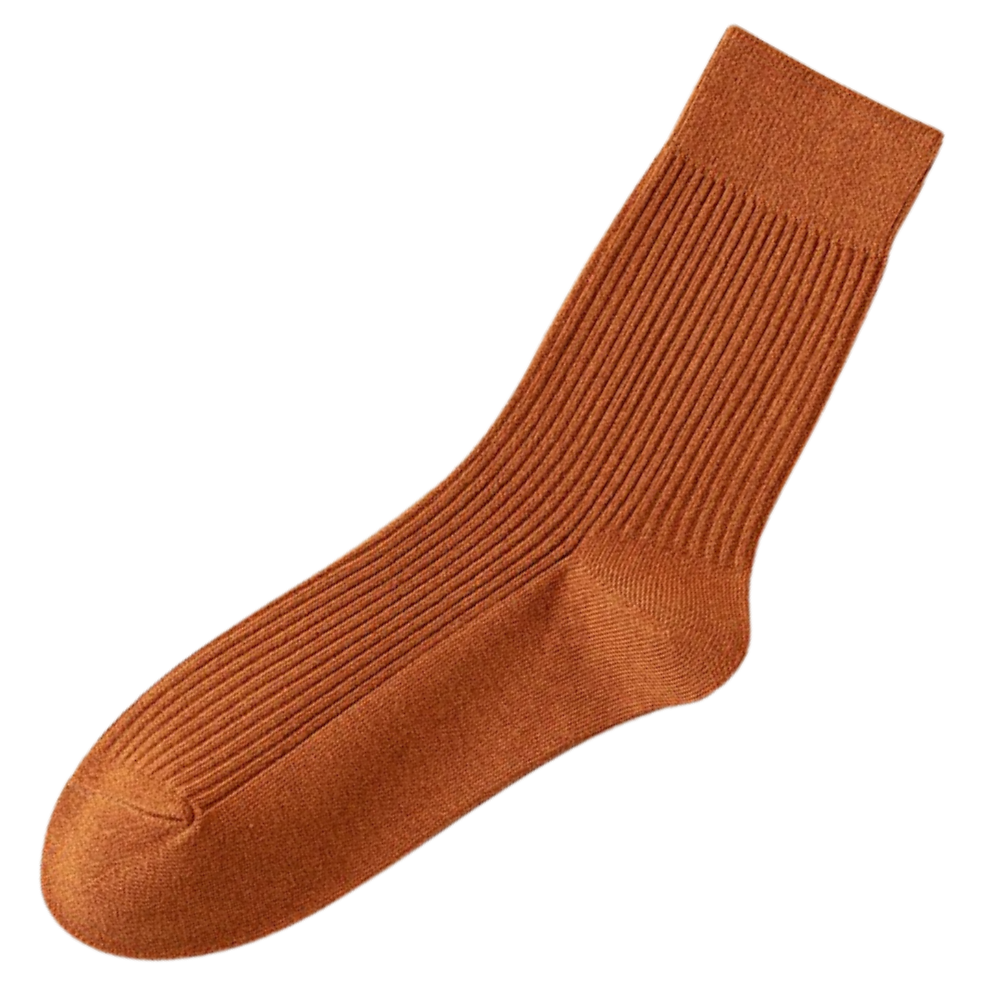 Chaussettes côtelées pour hommes (2 paires)