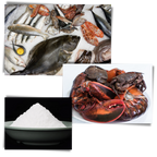 Attractant pour poissons