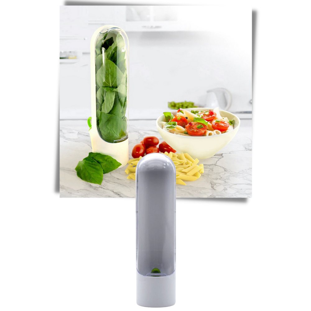 Récipient de conservation des herbes fraîches