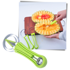 Set d'outils pour découper et trancher les fruits