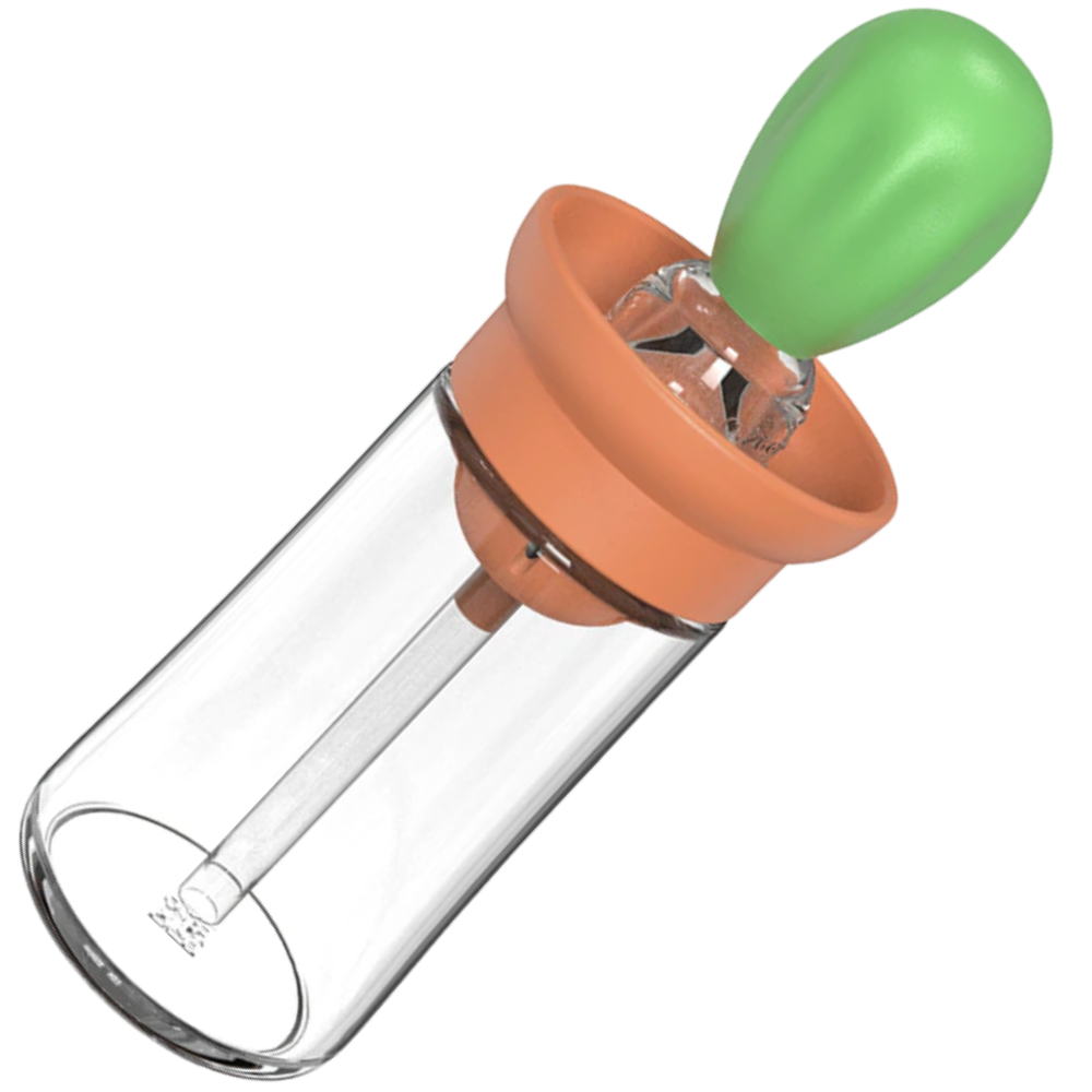 Bouteille d'huile en verre avec pinceau