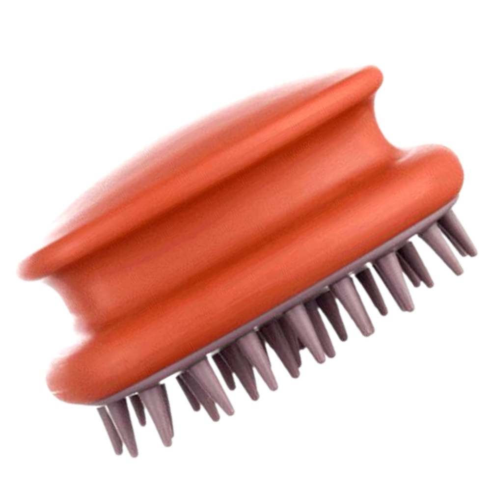 Brosse de massage du cuir chevelu