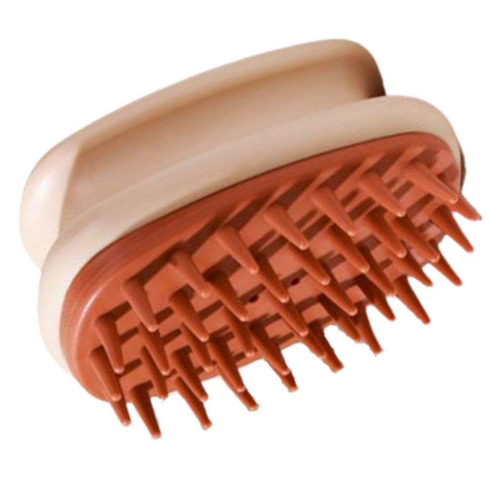 Brosse de massage du cuir chevelu
