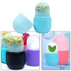 Tasse de massage à glace pour le visage