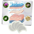 5 Patchs lymphatiques à base de plantes anti-transpiration