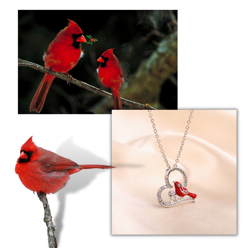 Collier à pendentif de cardinal en forme de cœur