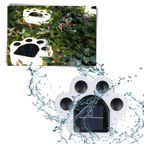 Lumière de chemin en forme d'empreinte de patte à énergie solaire