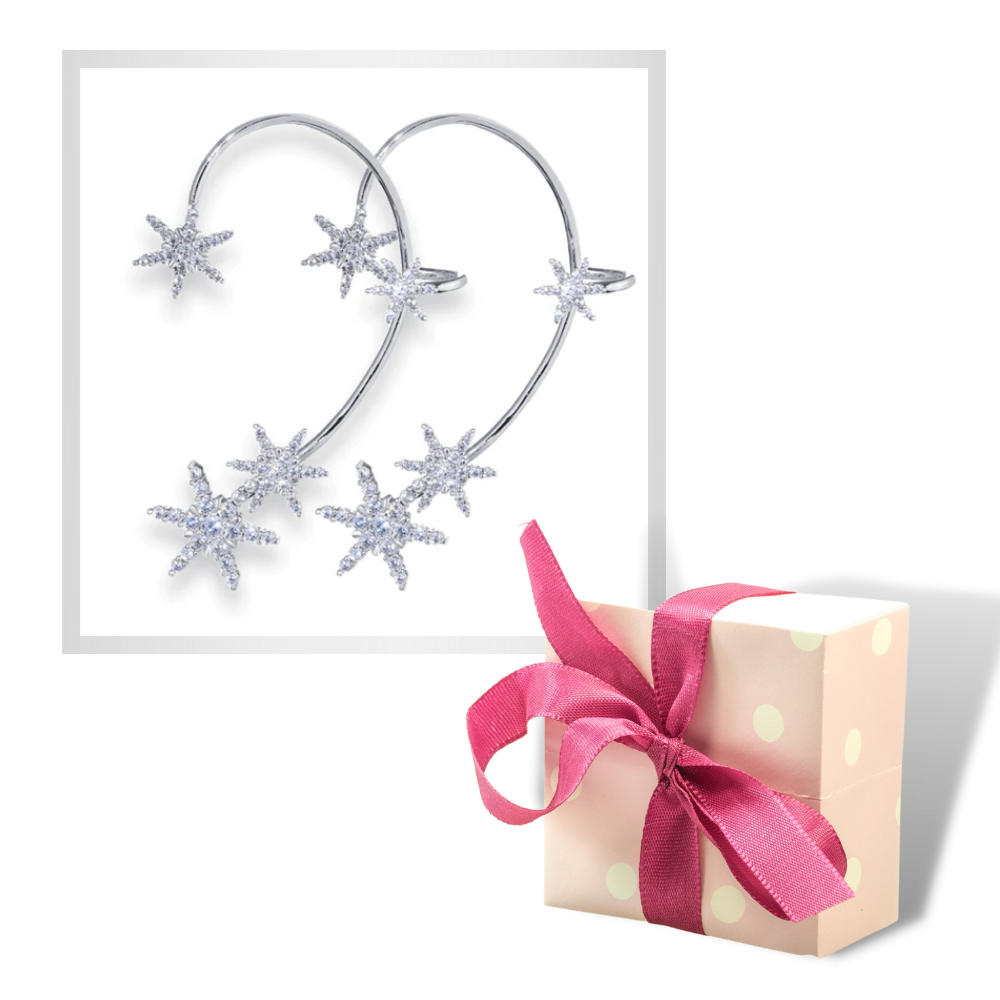 Paire de boucles d'oreilles à clip en zircone