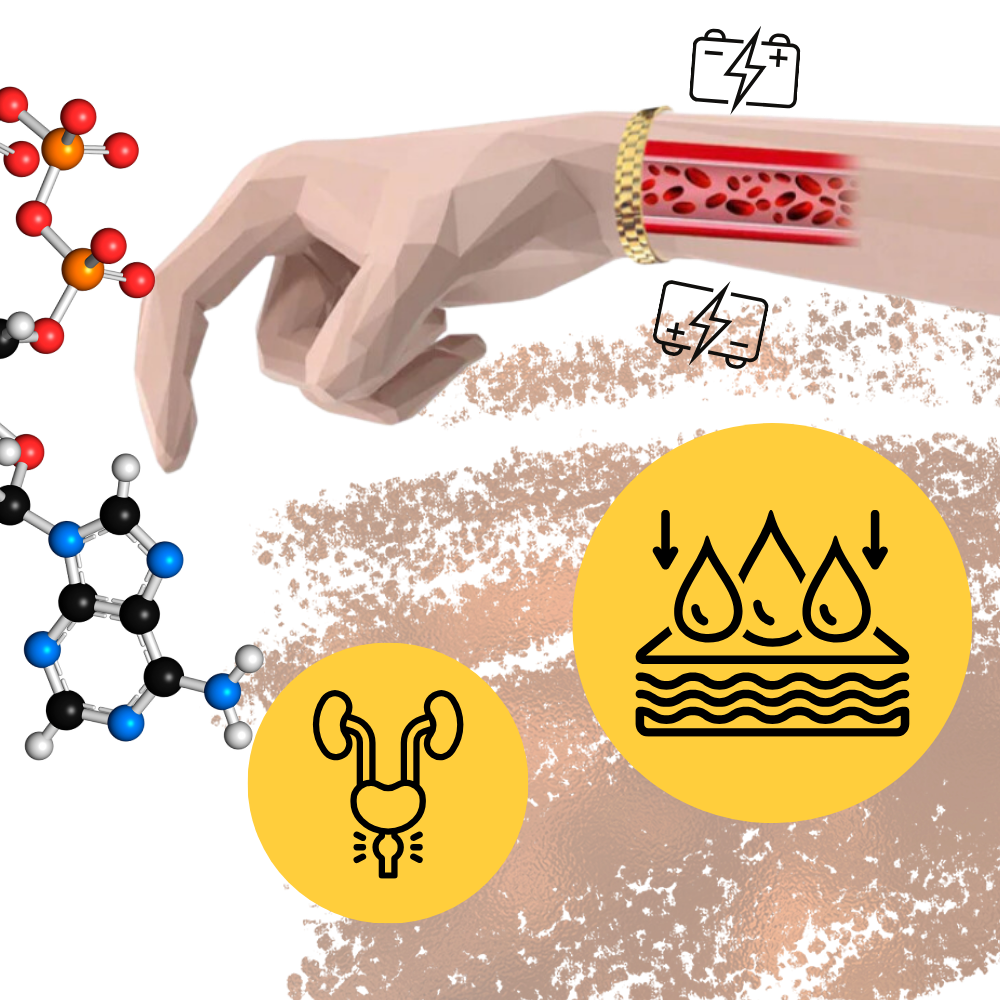 Bracelet de thérapie magnétique en cuivre