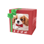 Adorable robot chaton/chiot