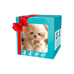 Adorable robot chaton/chiot