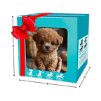 Adorable robot chaton/chiot