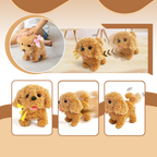 Adorable robot chaton/chiot