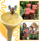 Abreuvoirs pour abeilles discrets et attrayants