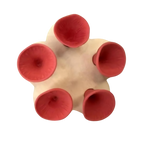 Abreuvoirs pour abeilles discrets et attrayants