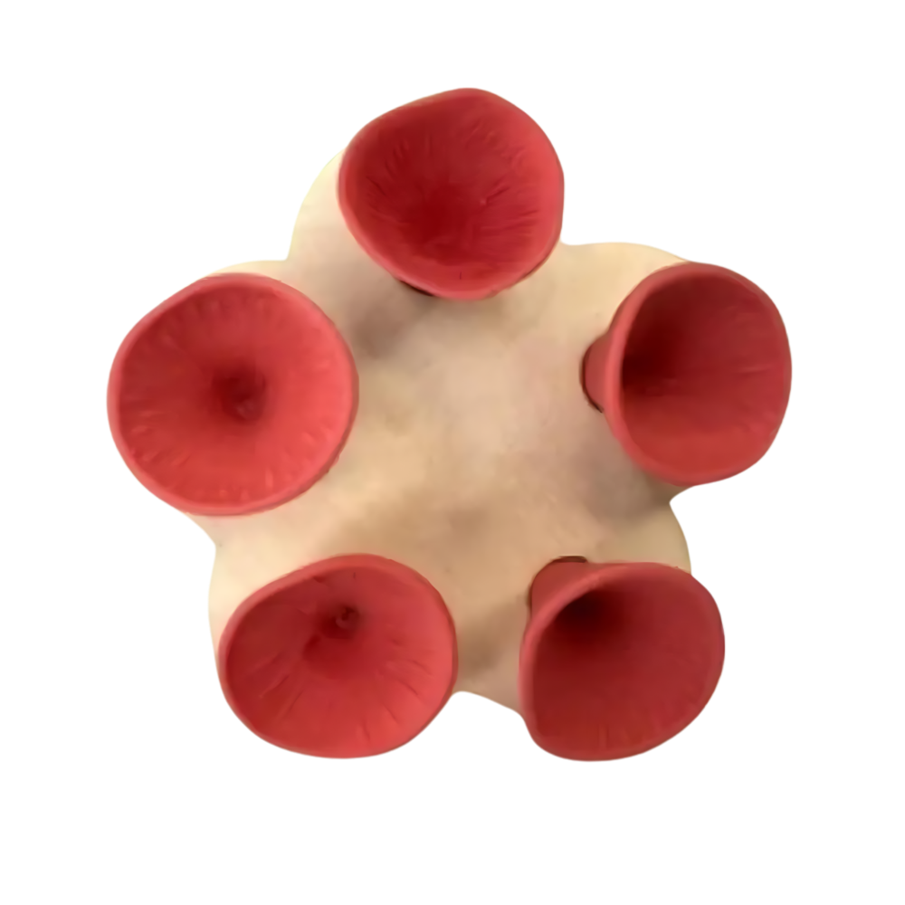 Abreuvoirs pour abeilles discrets et attrayants