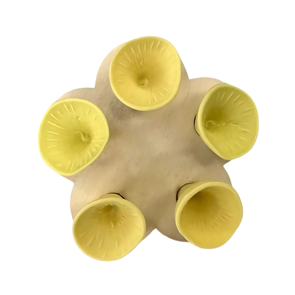 Abreuvoirs pour abeilles discrets et attrayants