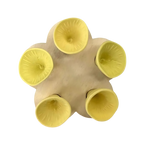 Abreuvoirs pour abeilles discrets et attrayants