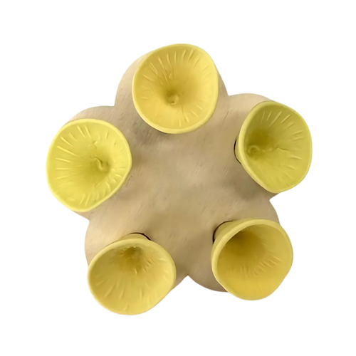 Abreuvoirs pour abeilles discrets et attrayants