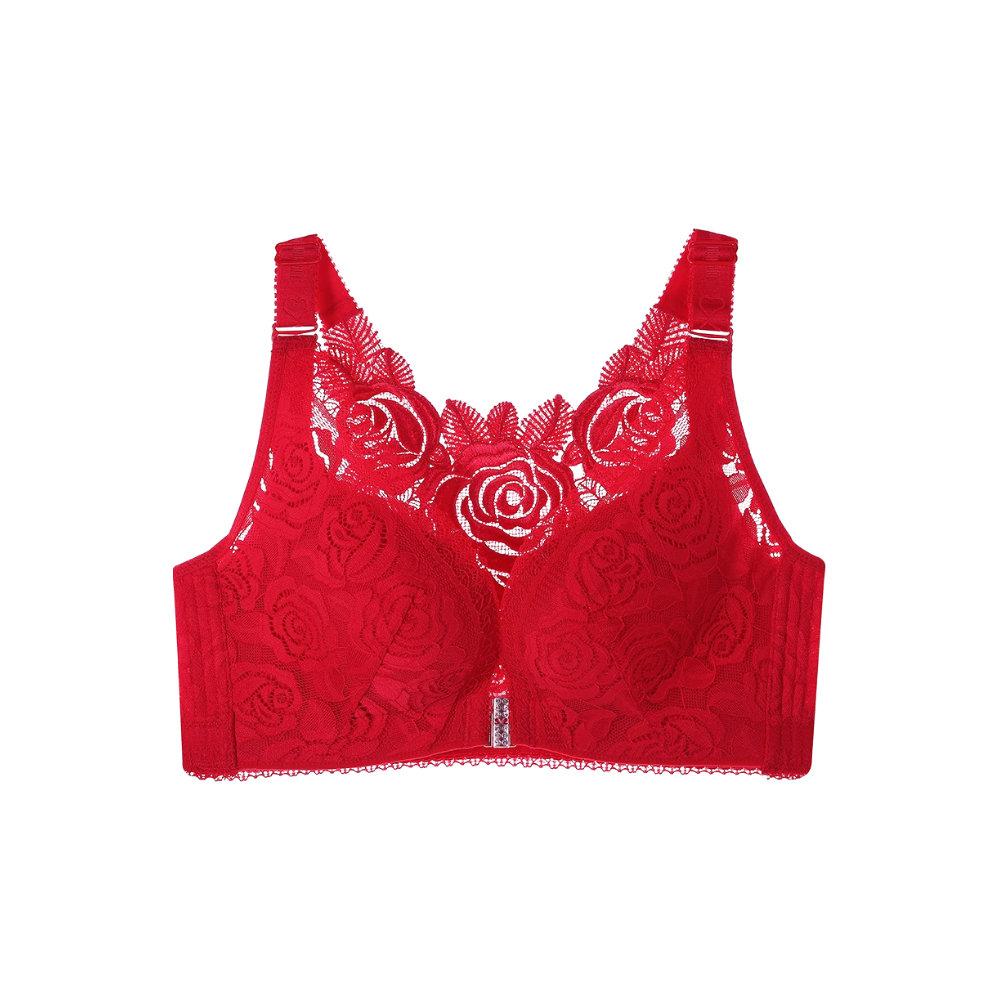 Soutien-gorge push-up élégant en dentelle