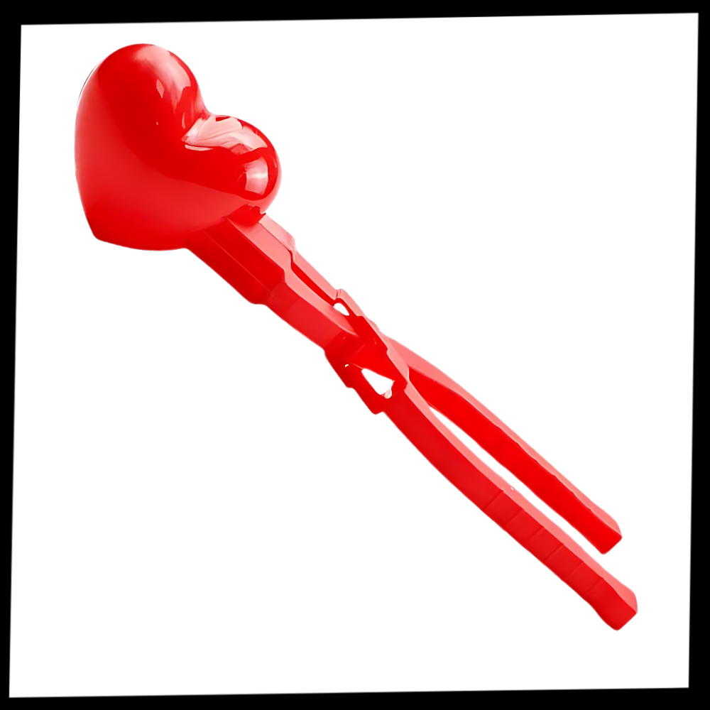 Moule à riz pour sushi de forme amusante