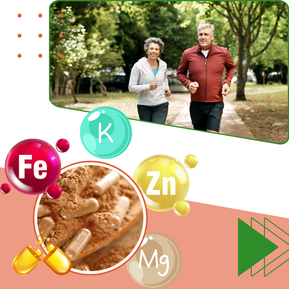 Complément d'Algues Marines