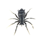 Appât de pêche en forme d'araignée à mouvements naturels