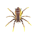 Appât de pêche en forme d'araignée à mouvements naturels