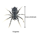 Appât de pêche en forme d'araignée à mouvements naturels