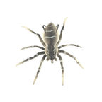 Appât de pêche en forme d'araignée à mouvements naturels