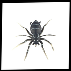 Appât de pêche en forme d'araignée à mouvements naturels