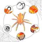 Appât de pêche en forme d'araignée à mouvements naturels