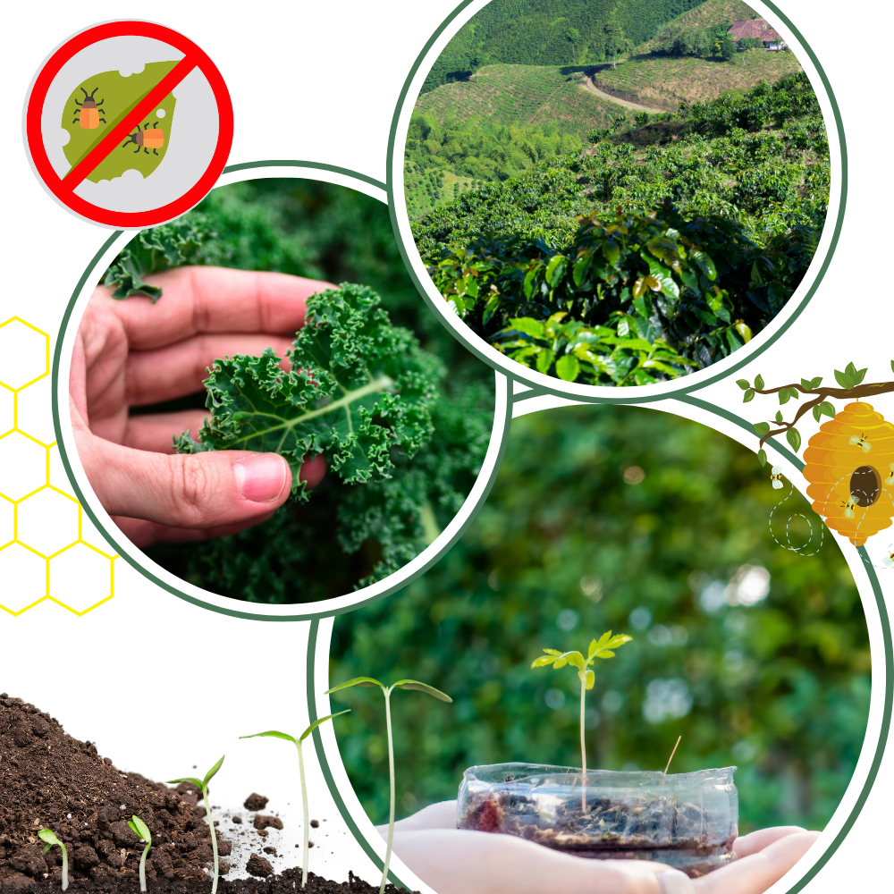 Activateur de sol à nutriments bio