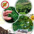 Activateur de sol à nutriments bio