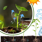 Activateur de sol à nutriments bio