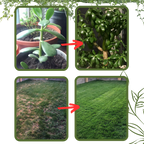 Activateur de sol à nutriments bio